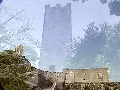 Trópusi fűszer